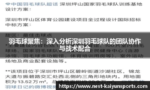 羽毛球聚焦：深入分析深圳羽毛球队的团队协作与战术配合